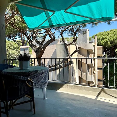 托雷德尔格拉戈普奇La Terrazza Del Pino公寓 外观 照片