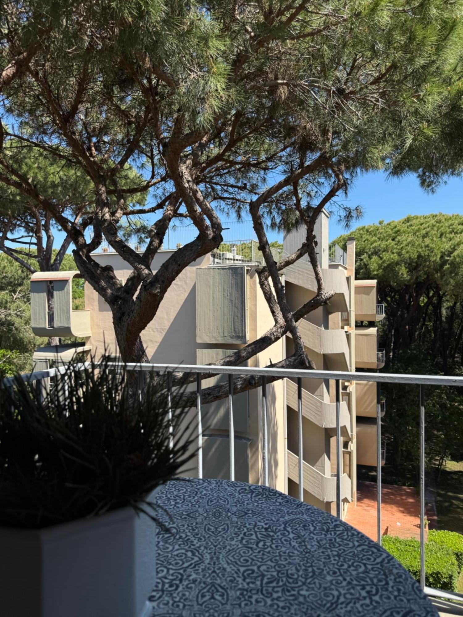 托雷德尔格拉戈普奇La Terrazza Del Pino公寓 外观 照片
